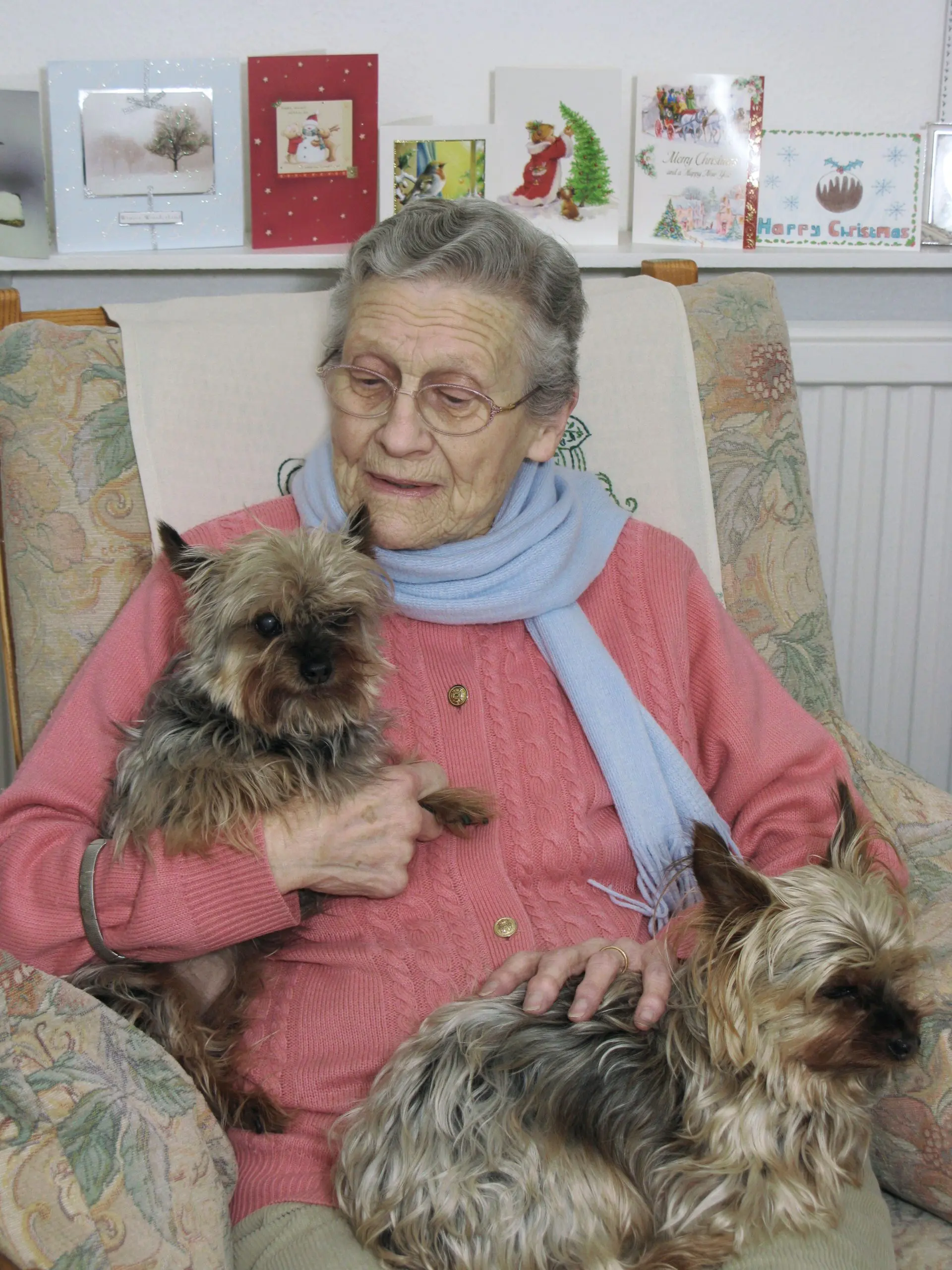 Fundraising - Support those in need. An old lady with her pet dogs